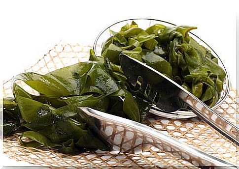 Seaweed is one of the foods rich in vegetable protein