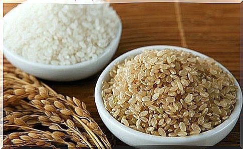 Brown rice and other types are foods rich in plant protein