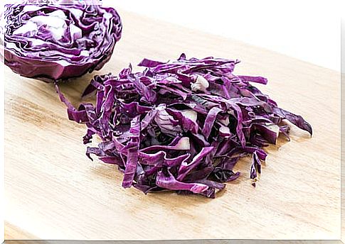 purple-cabbage