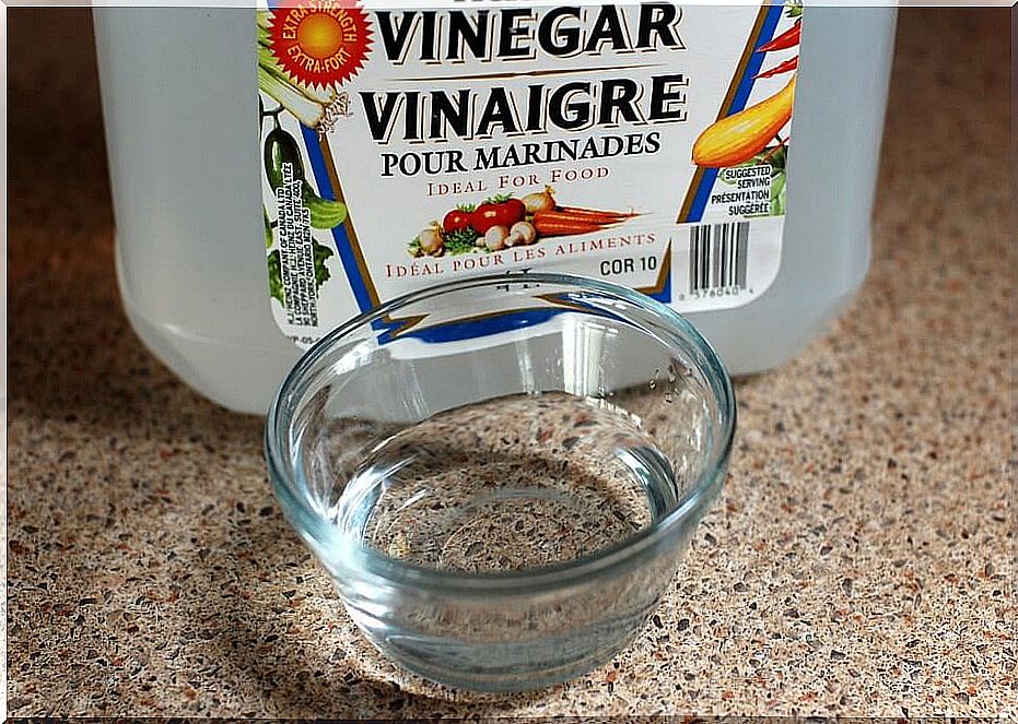 Glass of white vinegar to whiten tile joints