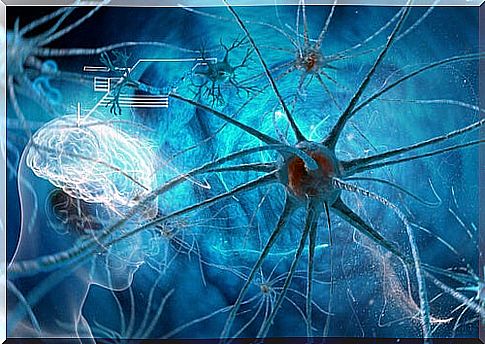 Neurons