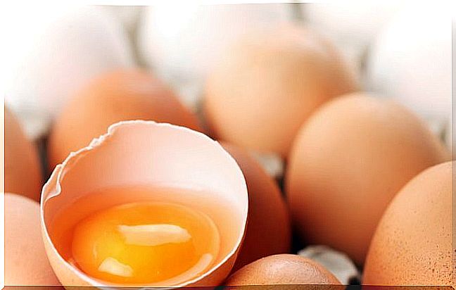 White and egg yolk as a natural remedy against macular degeneration