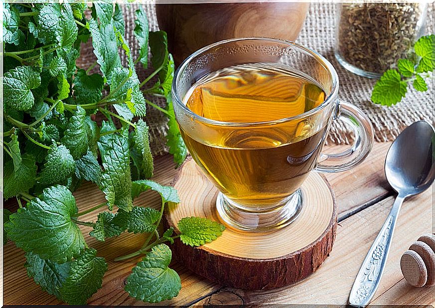 Anise, lemon verbena and lemon balm drink