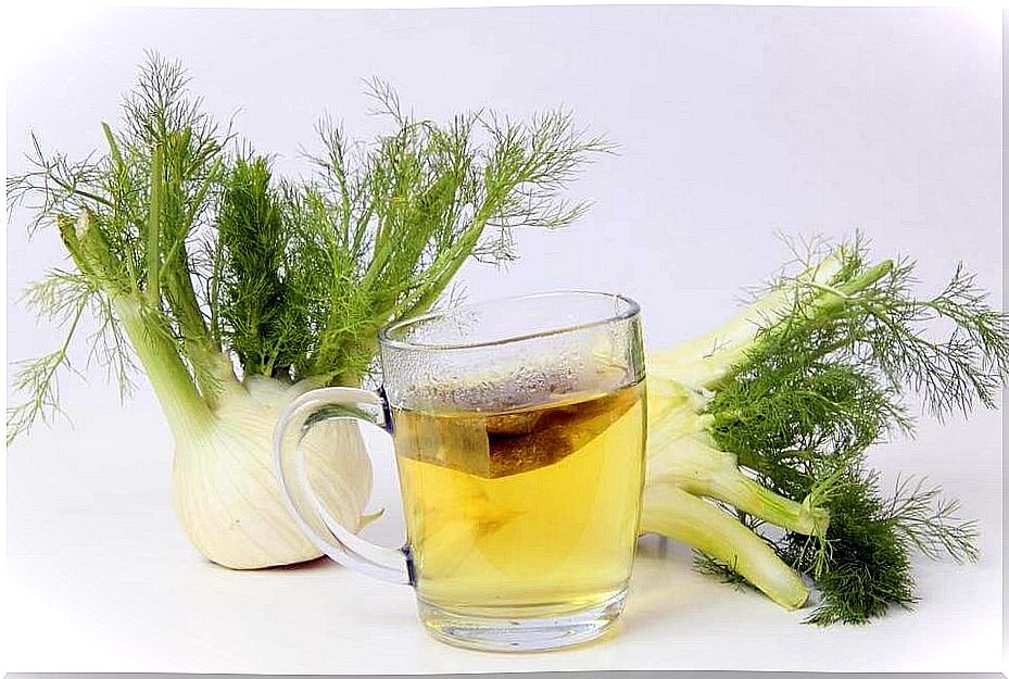 fennel-tea