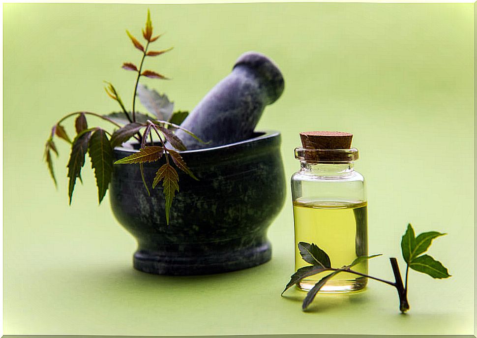 5 ways to use neem oil as a home remedy