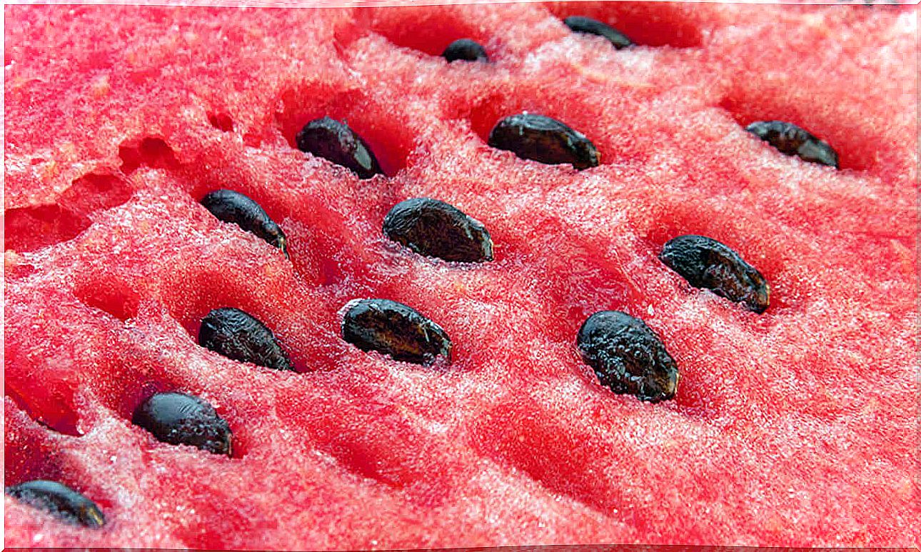 Watermelon seeds