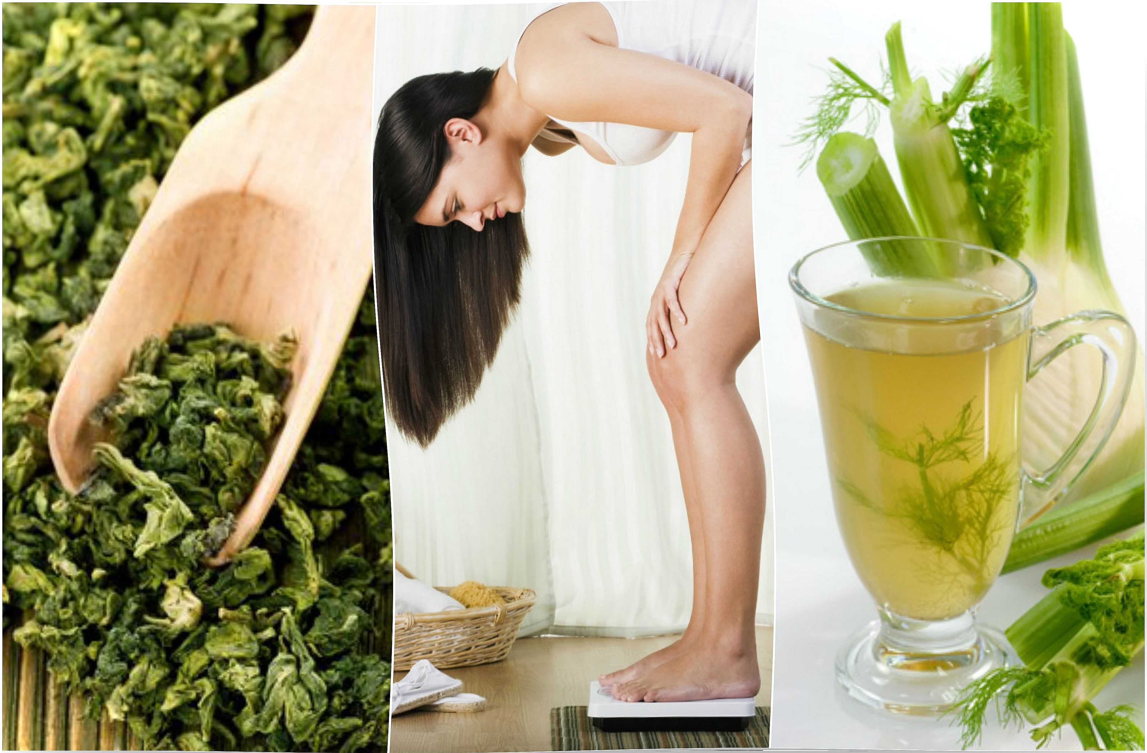 Lose weight easily using these 5 medicinal plants