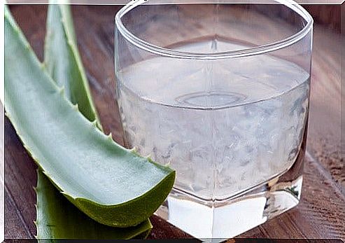 Aloe vera is a plant with very beneficial soothing properties in case of bleeding gums.