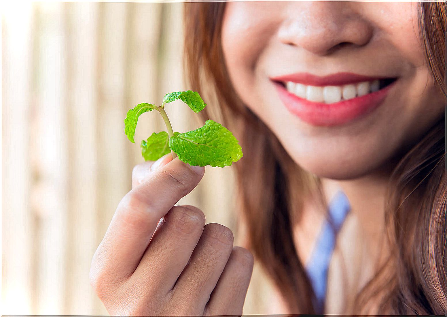 Peppermint: one of the tricks to fight bad breath.