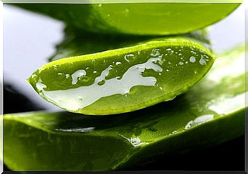 Aloe Vera Slices, stacked