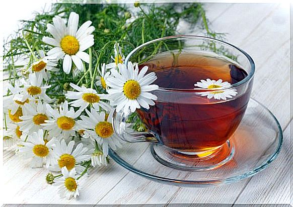 Chamomile has a calming effect on cuts.