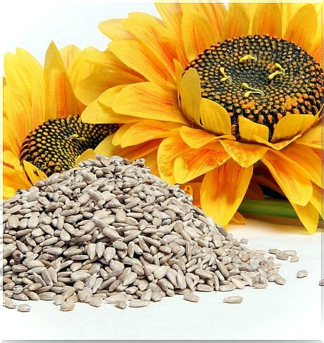 sunflower-seeds-01