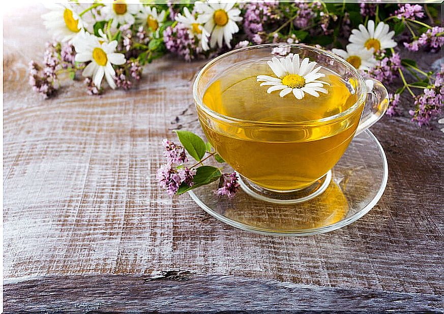 Chamomile infusion