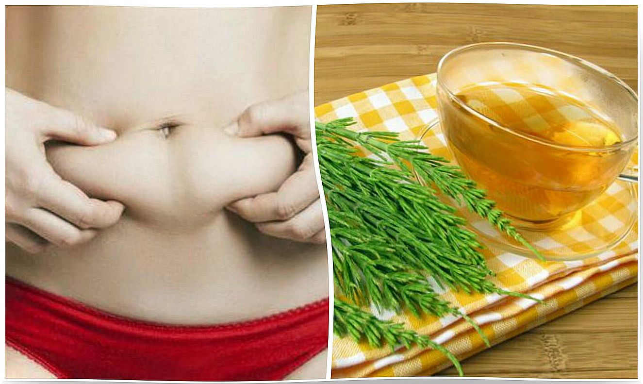 How to eliminate toxins and fight overweight